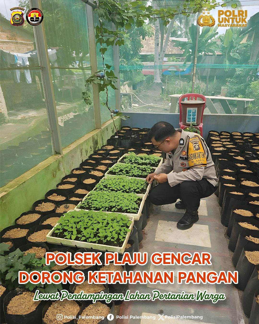 Polsek Plaju Gencar Dorong Ketahanan Pangan Lewat Pendampingan Lahan Pertanian Warga