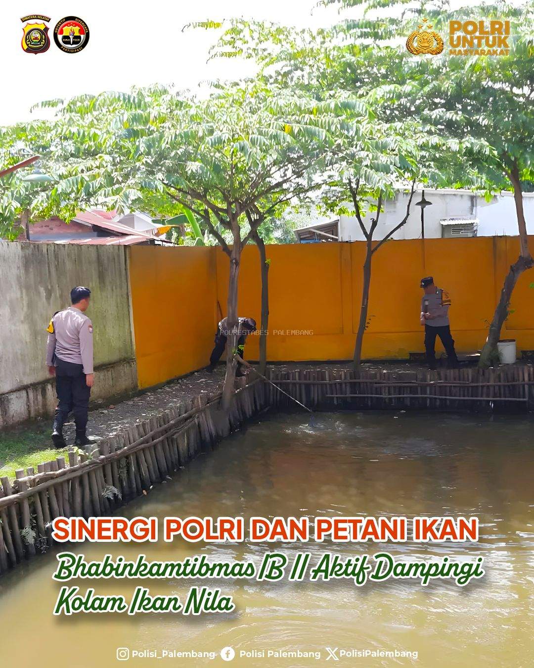 Polsek IB II Aktif Dukung Ketahanan Pangan Lewat Pendampingan Kolam Ikan Nila