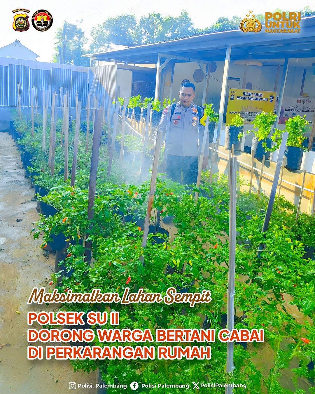 Maksimalkan Lahan Sempit, Polsek SU II Dorong Warga Bertani Cabai di Perkarangan Rumah
