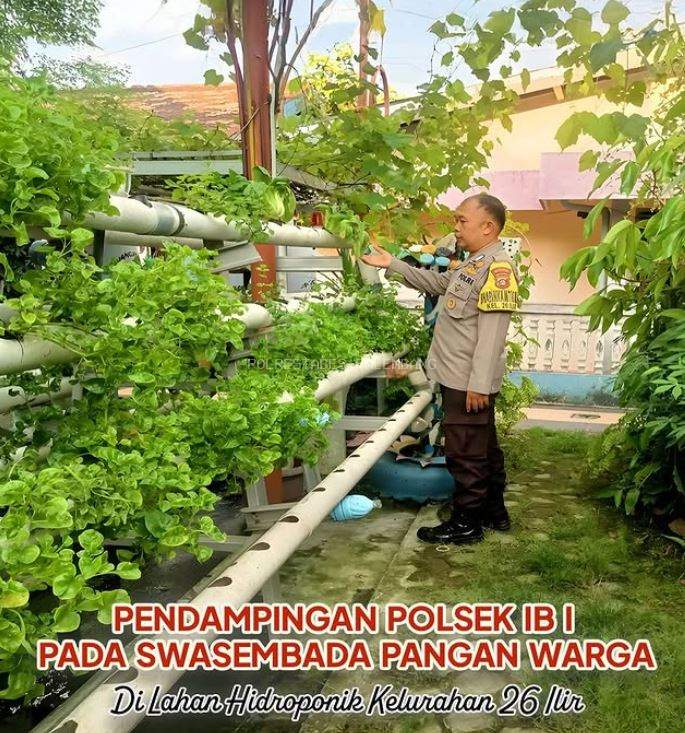 Pendampingan Polsek IB I Polrestabes Palembang Pada Swasembada Pangan Warga, Di Lahan Hidroponik Kelurahan 26 Ilir