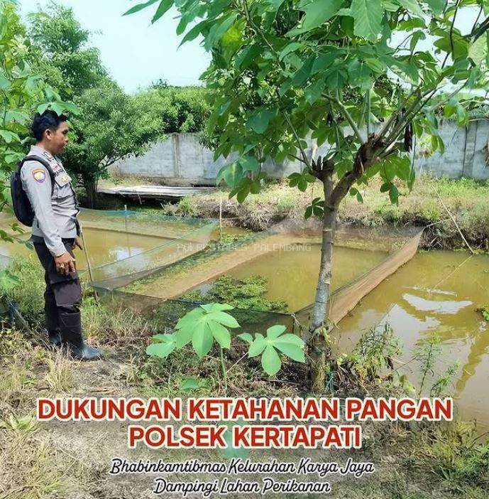 Ketahanan Pangan Polsek Kertapati, Bhabinkamtibmas Kelurahan Karya Jaya Dampingi Lahan Perikanan