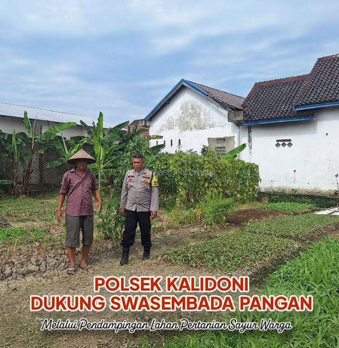 Polsek Kalidoni Dukung Swasembada Pangan Melalui Pendampingan Lahan Pertanian Sayur Warga