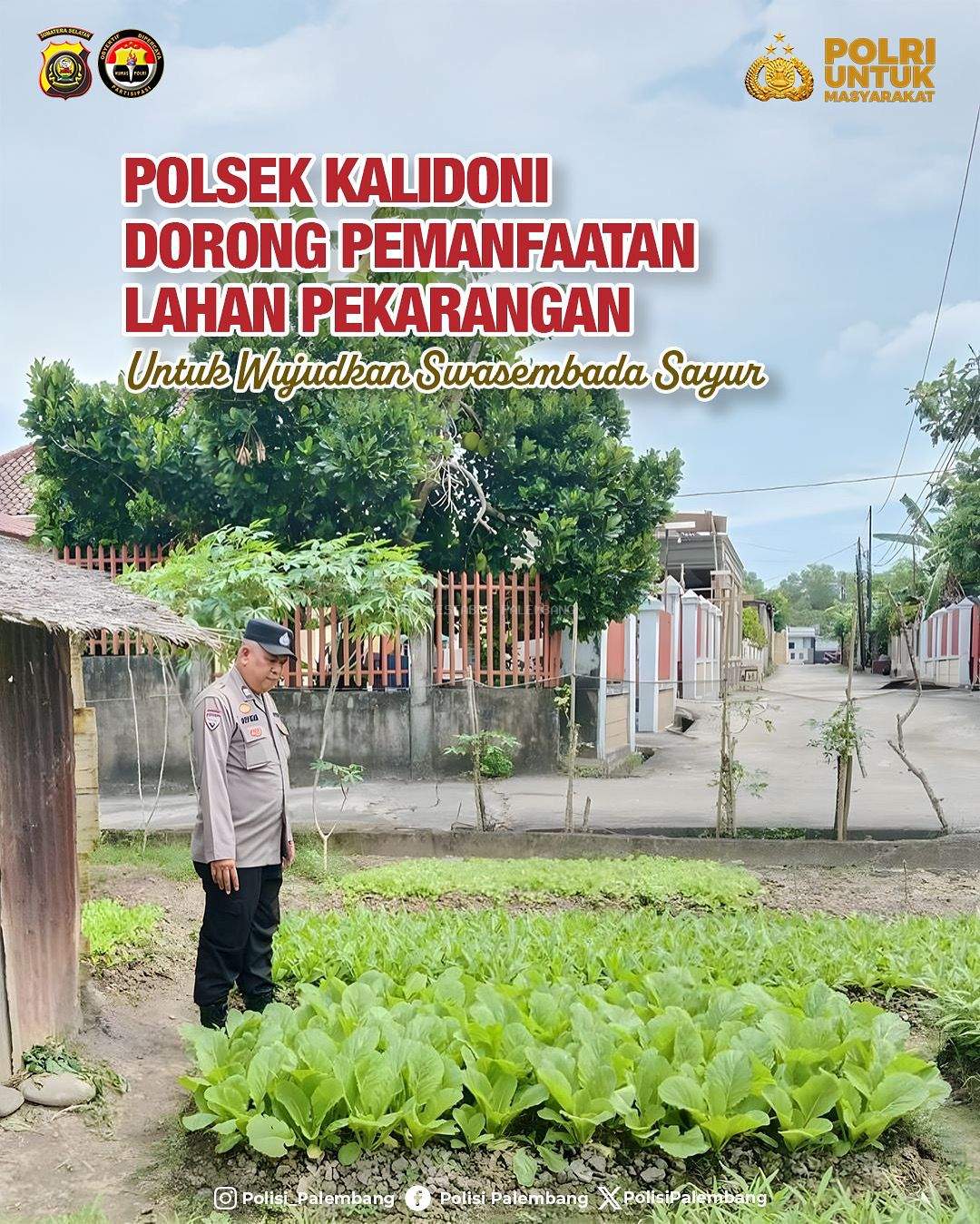 Polsek Kalidoni Dorong Pemanfaatan Lahan Pekarangan untuk Wujudkan Swasembada Sayur