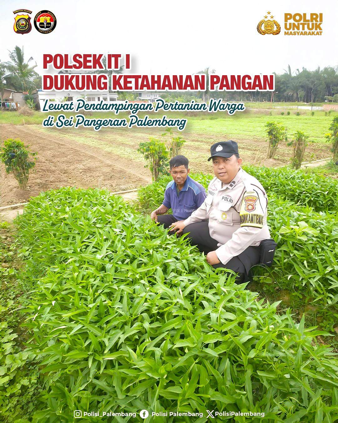 Polsek IT I Dukung Ketahanan Pangan Lewat Pendampingan Pertanian Warga di Sei Pangeran