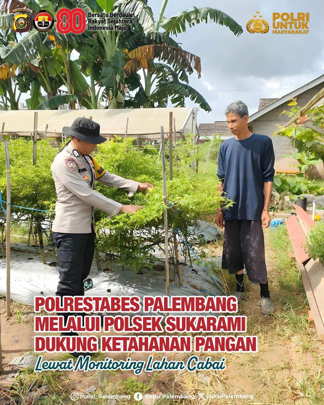 Polrestabes Palembang melalui Polsek Sukarami Dukung Ketahanan Pangan Lewat Monitoring Lahan Cabai
