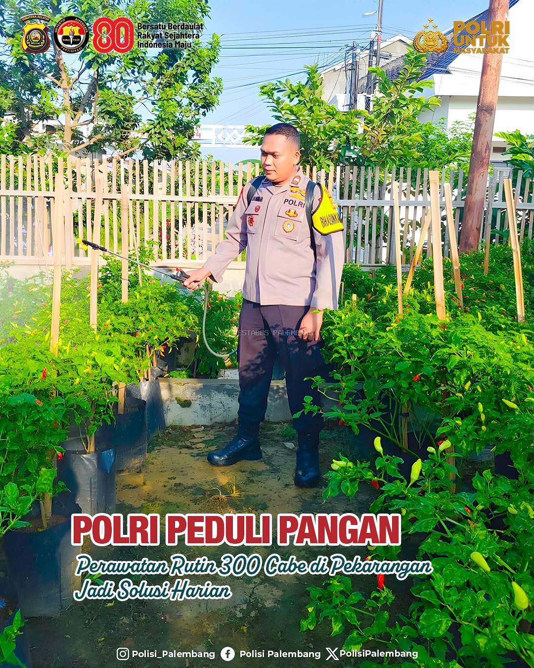 Polri Peduli Pangan: Perawatan Rutin 300 Cabe di Pekarangan Jadi Solusi Harian