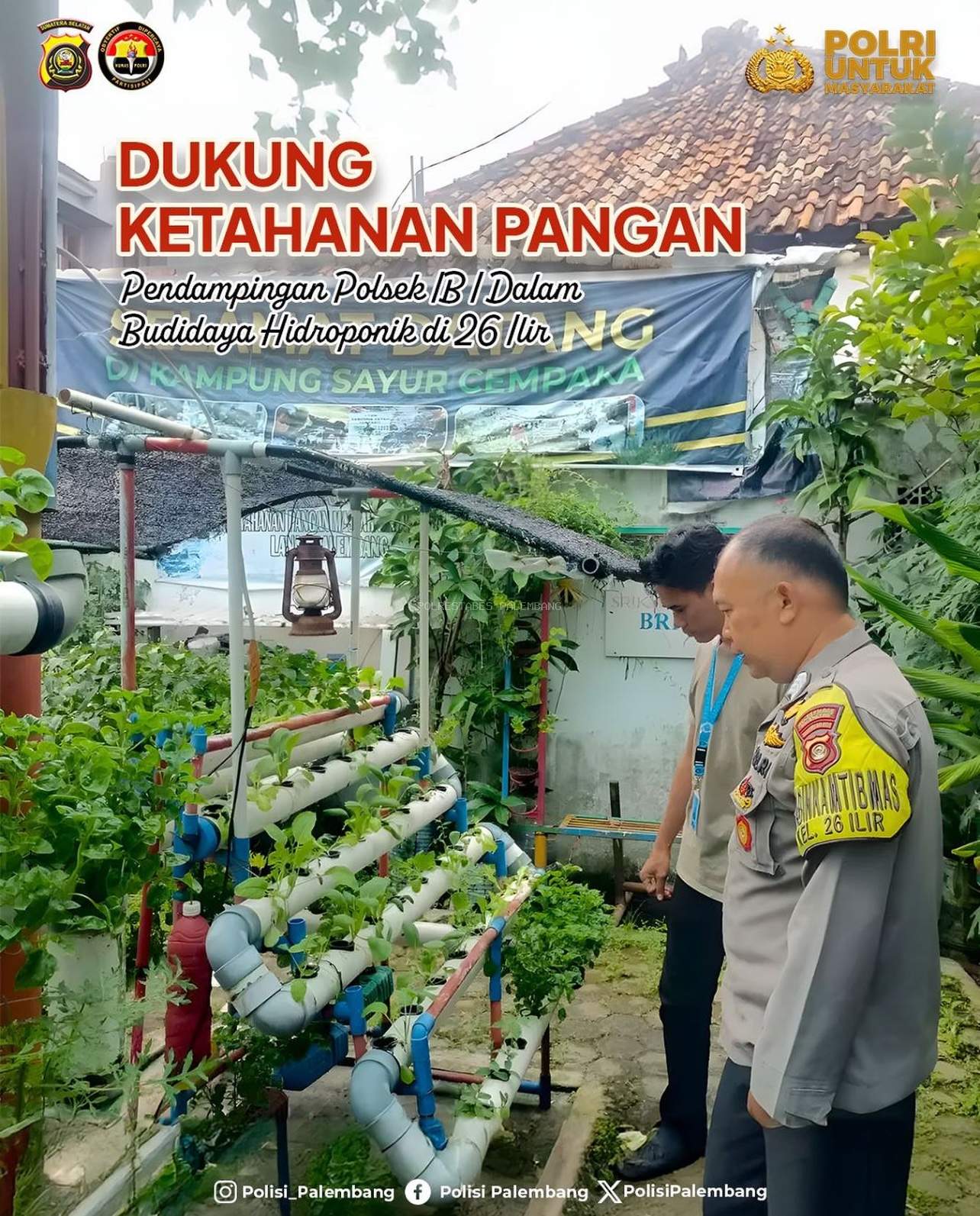 Dukung Ketahanan Pangan, Polsek IB I Dampingi Budidaya Hidroponik di 26 Ilir