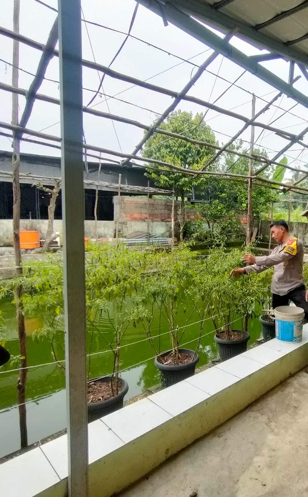 Polsek Sukarami Laksanakan Giat Ketahanan Pangan Dukung Program Swasembada Pemerintah