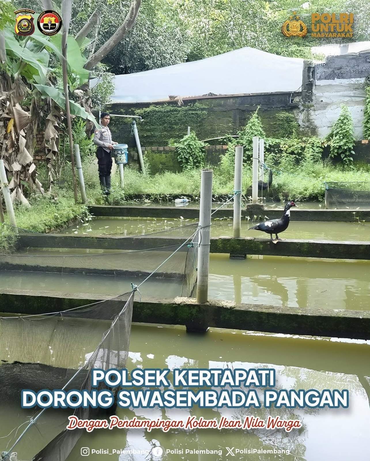 Polsek Kertapati Dorong Swasembada Pangan Lewat Pendampingan Kolam Ikan Nila Warga