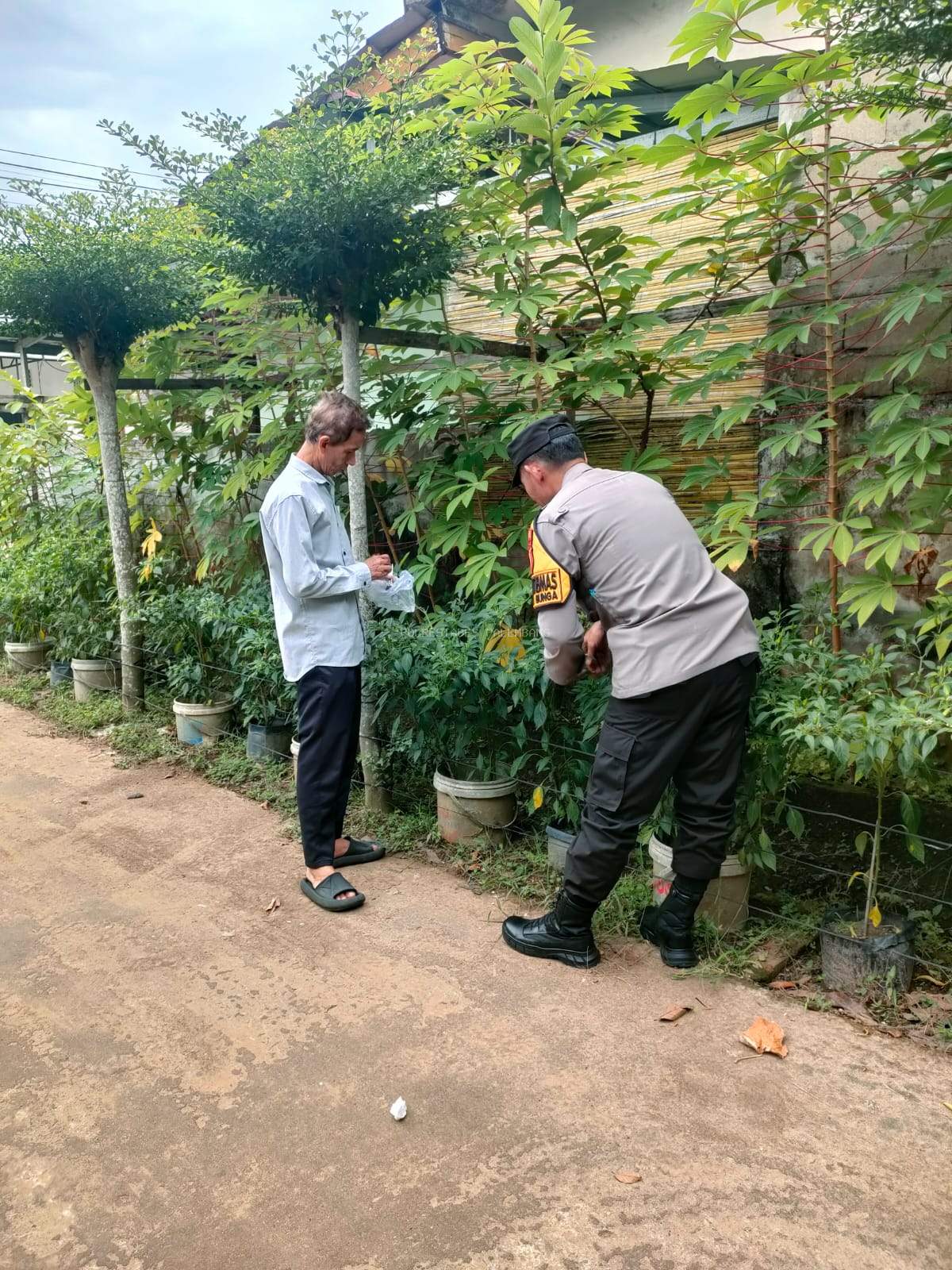 Polsek Sukarami Dukung Program Ketahanan Pangan Lewat Monitoring Lahan Pertanian Cabai