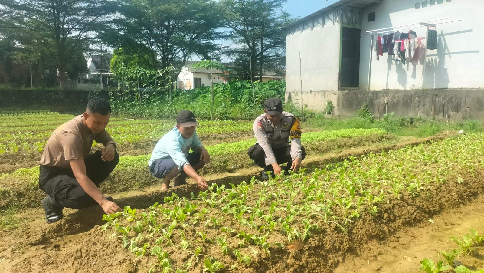 Dukung Swasembada Pangan, Polrestabes Palembang Gerakkan Pemanfaatan Pekarangan