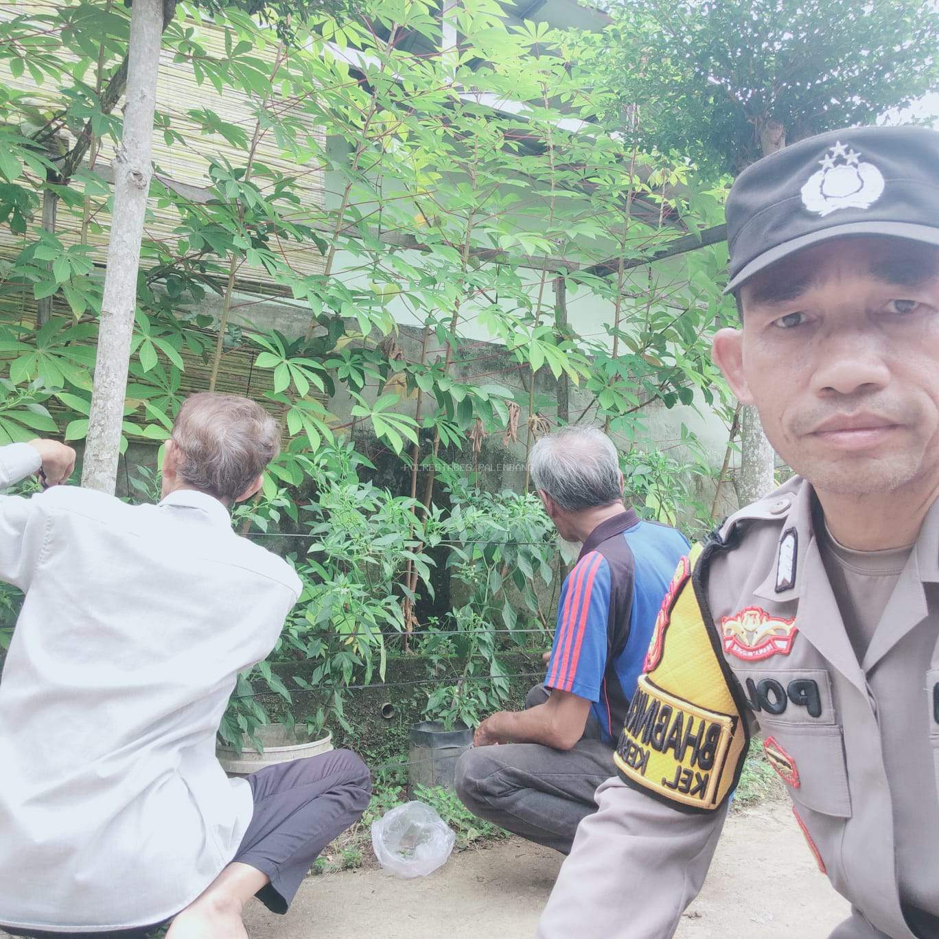 Polsek Sukarami Perkuat Sinergi dengan Warga dalam Pertanian Cabai