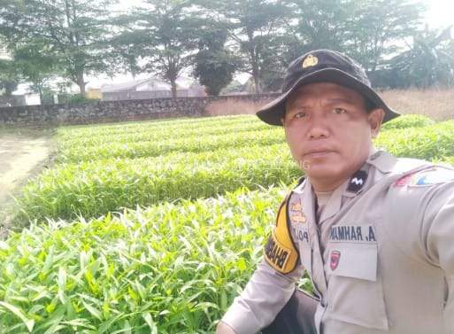 Polsek Sako Dukung Petani Lokal Kembangkan Sayuran Sehat
