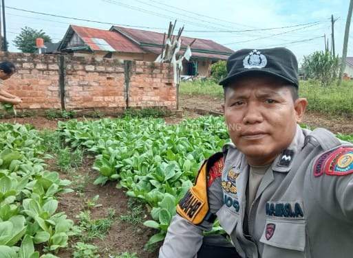 Bhabinkamtibmas Sako Monitoring Lahan Sayur Warga Dukung Swasembada Pangan