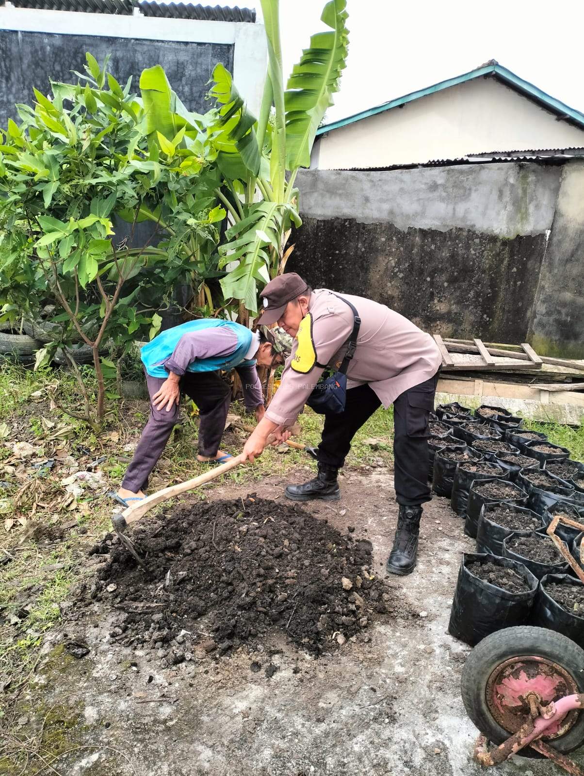 Polisi Bersama Warga Manfaatkan Lahan Pekarangan untuk Ketahanan Pangan