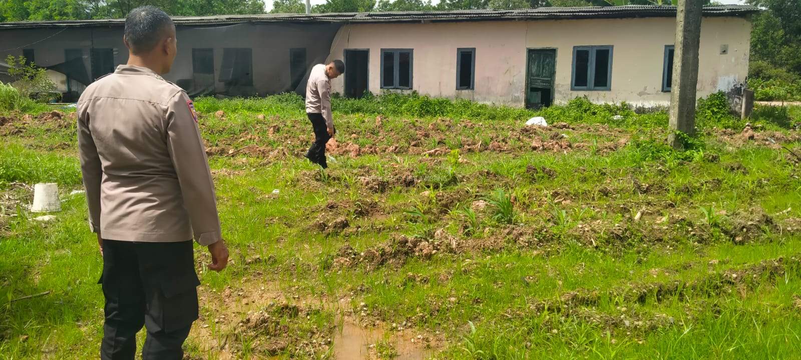 Kanit Binmas Polsek Gandus Turun Langsung Cek Lahan Jagung Warga