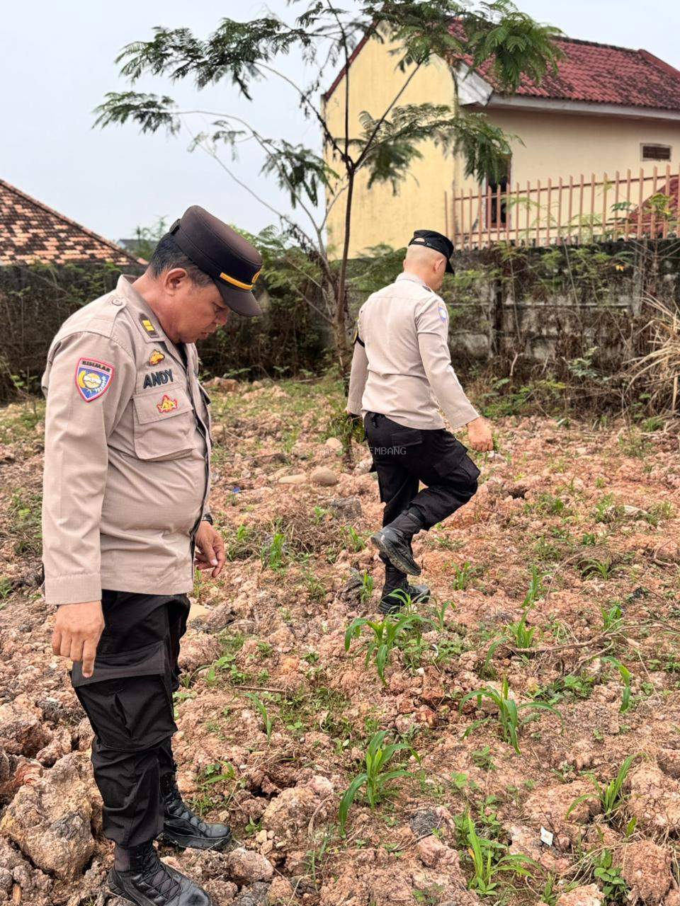 Dukung Asta Cita dan Polri Presisi, Personel Polrestabes Palembang Monitoring Tanaman Jagung di Kemuning